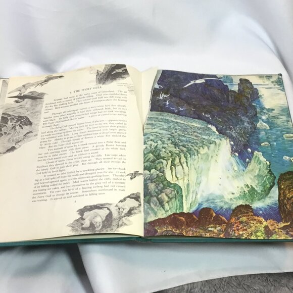 Seabird by Holling Clancy Holling, 1948 HC, G, Green Cover Acceptable - Picture 6 of 12